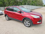 Ford Escape 2013