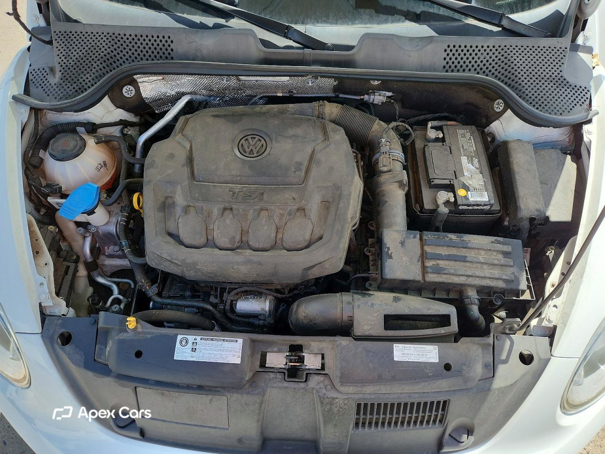 Volkswagen Beetle 2019