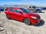 Toyota Corolla 2009