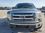 Ford F-150 2013