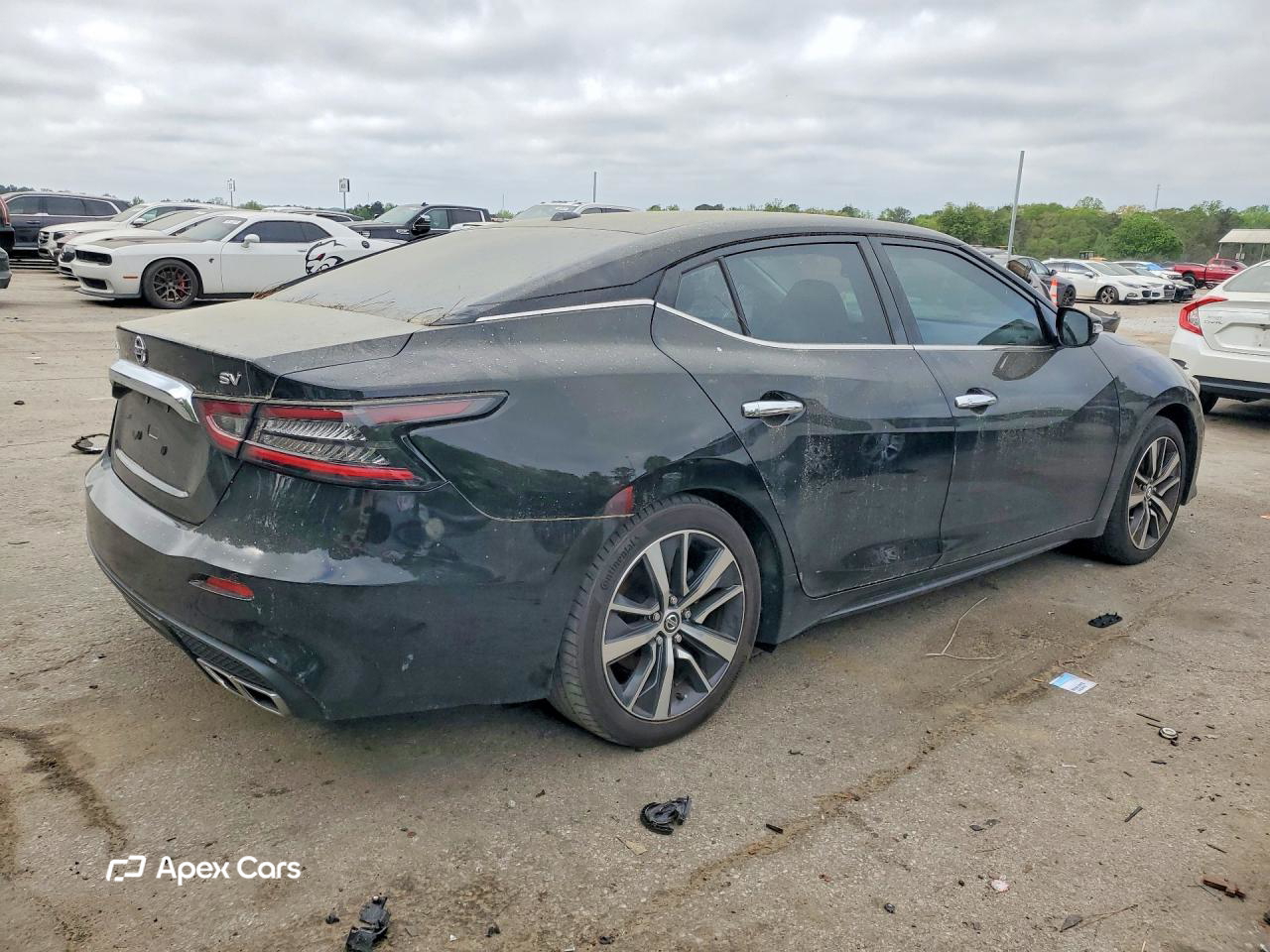 Nissan Maxima 2019