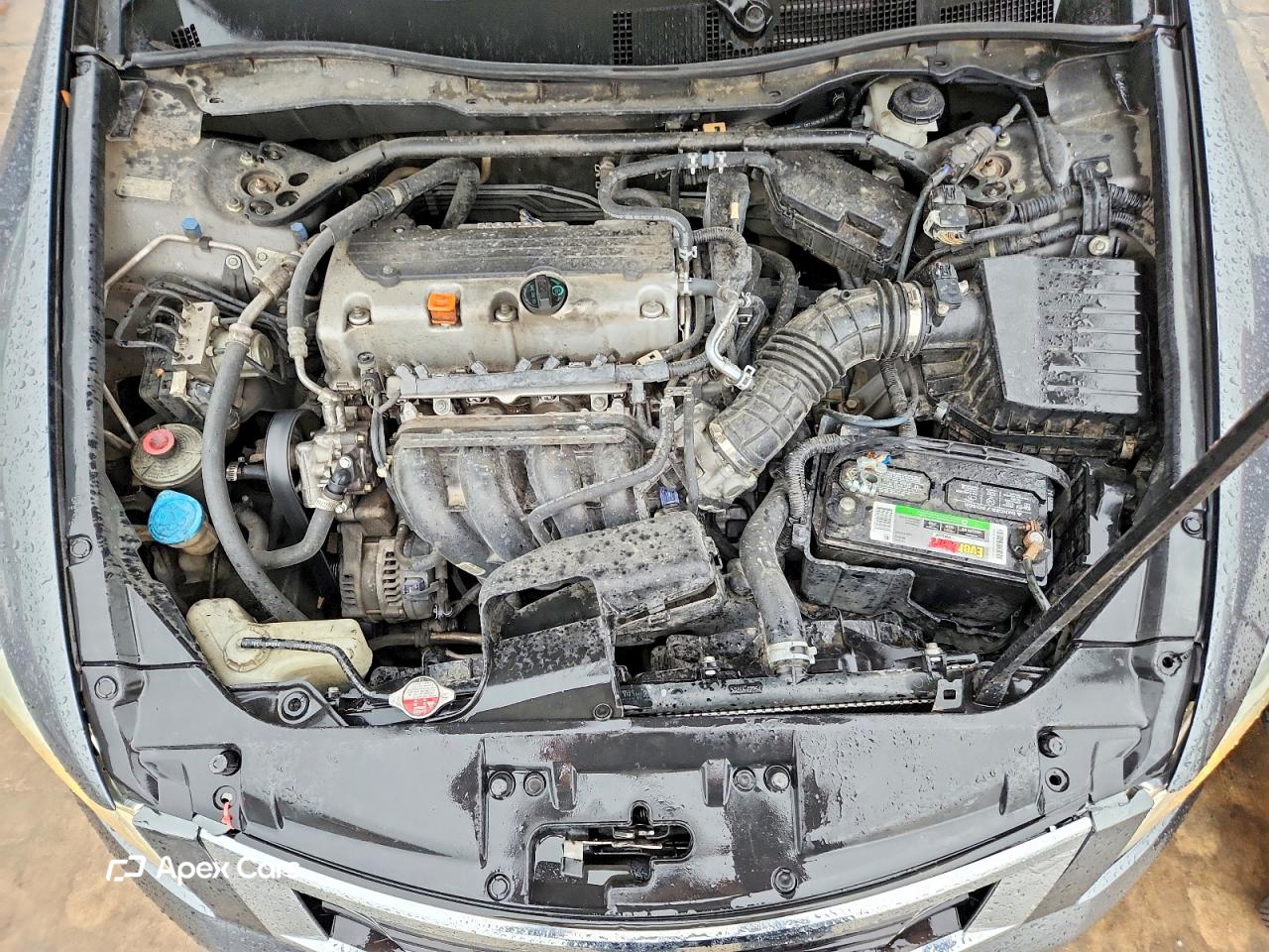 Honda Accord 2010