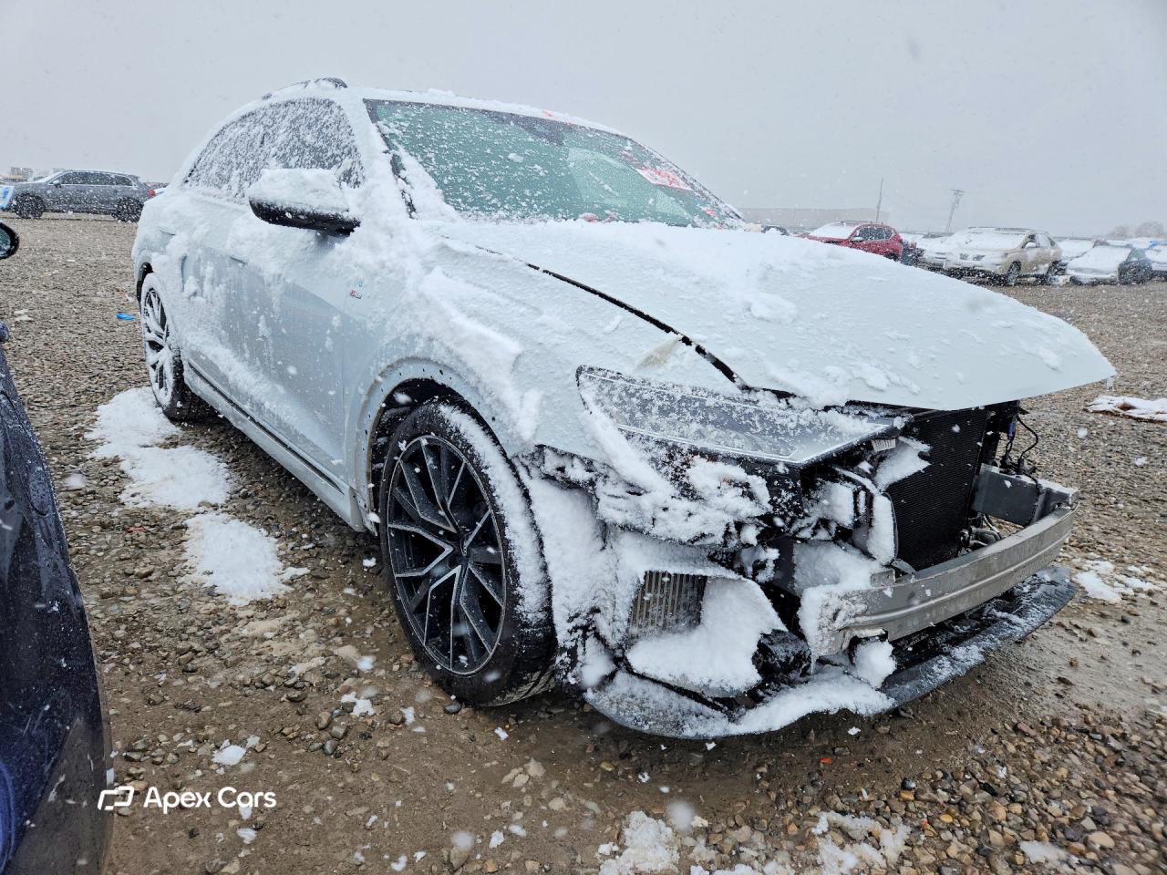 Audi Q8 2019