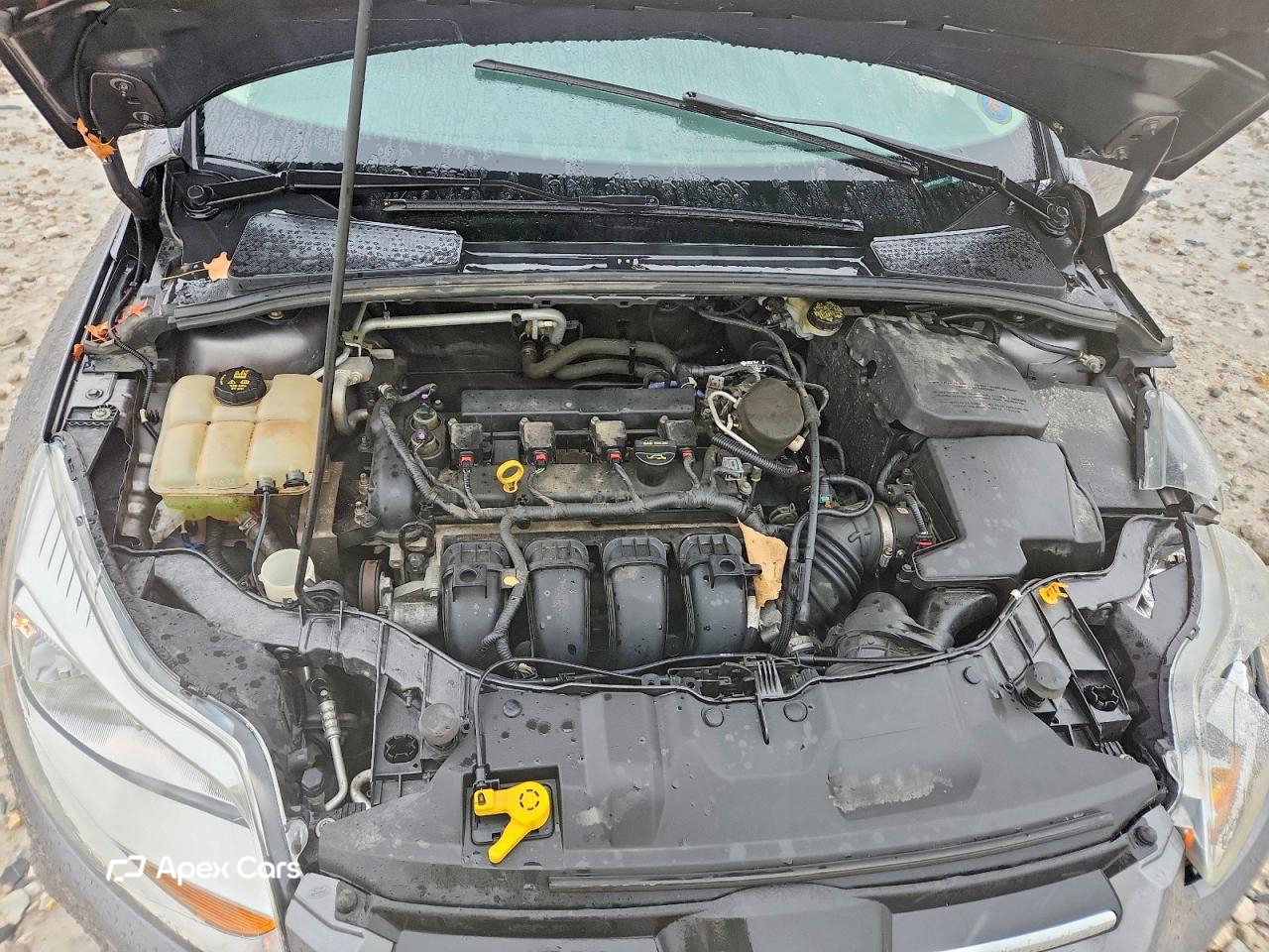 Ford Focus 2014