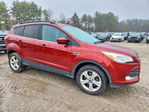 Ford Escape 2014