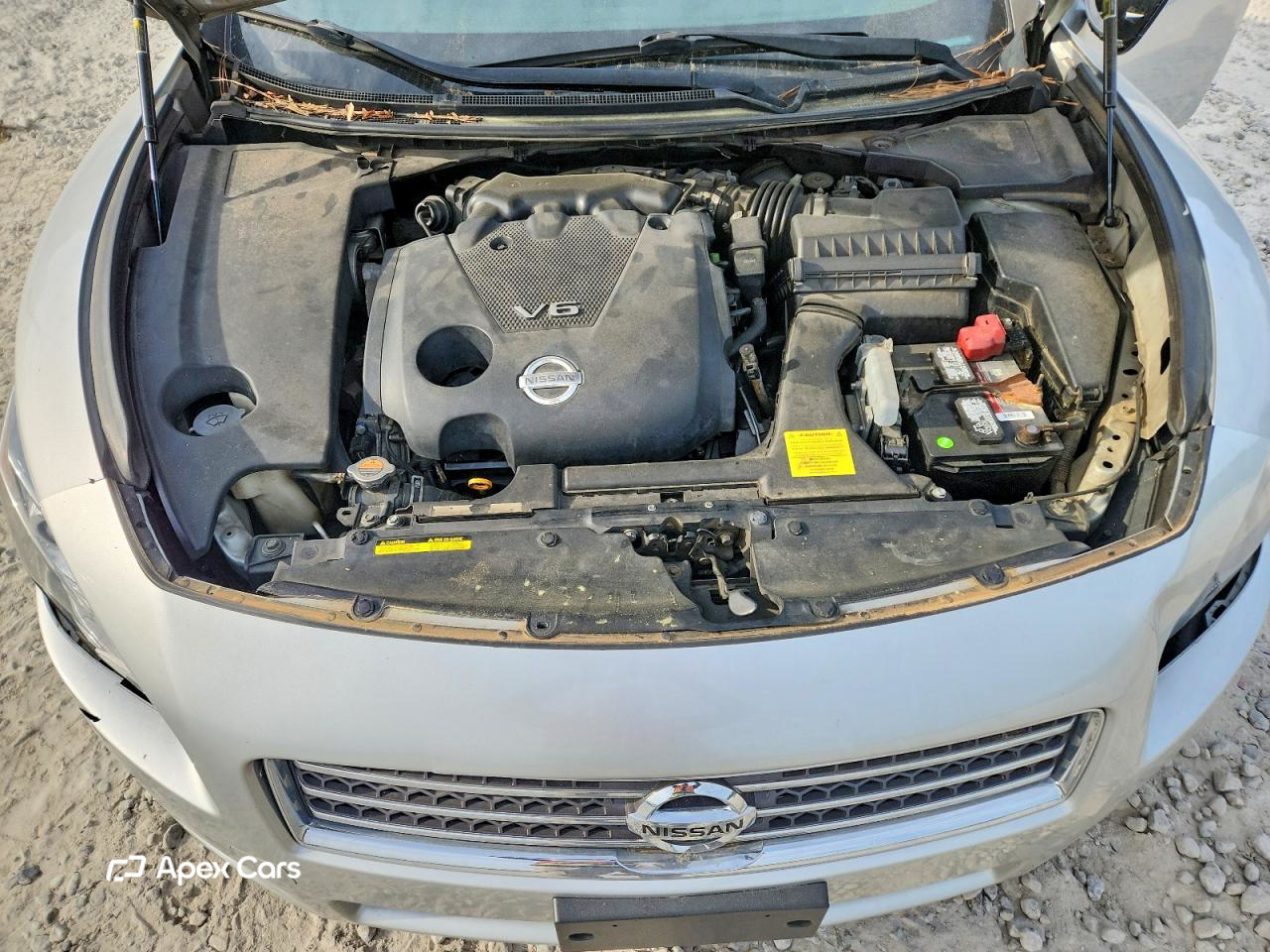 Nissan Maxima 2010
