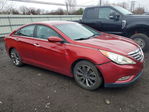 Hyundai Sonata 2013