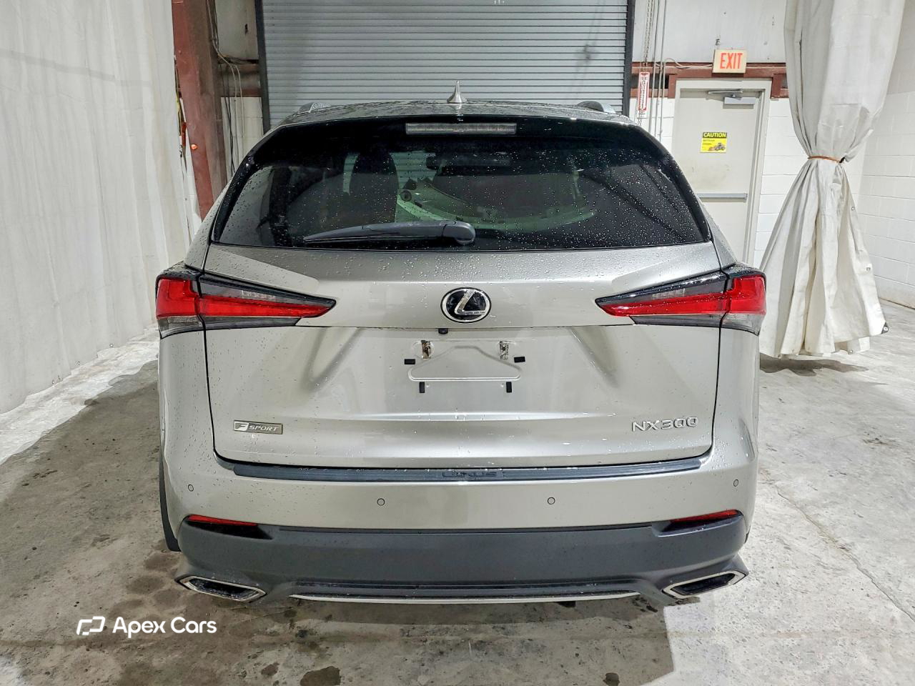 Lexus NX 2021