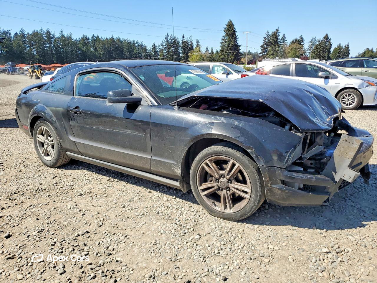Ford Mustang 2007
