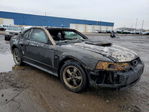 Ford Mustang 2001