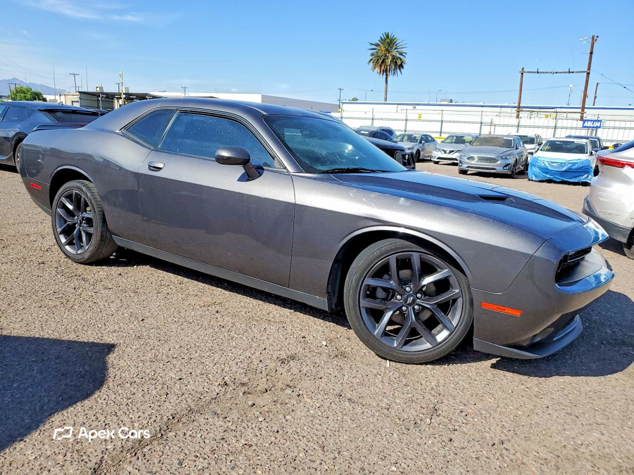 Dodge Challenger 2019