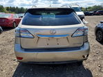 Lexus RX 2011