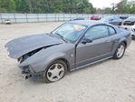 Ford Mustang 2004