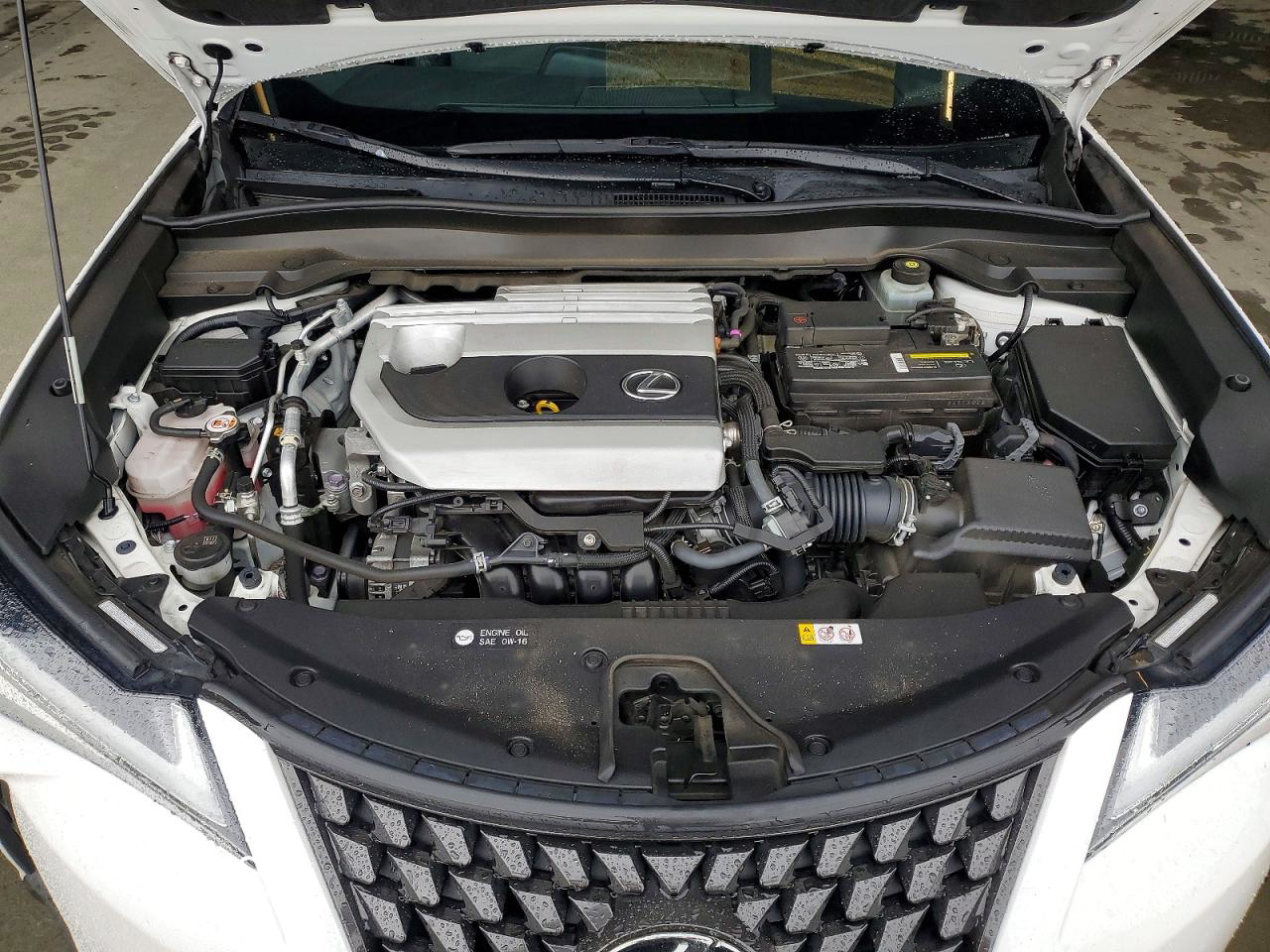 Lexus UX 2020