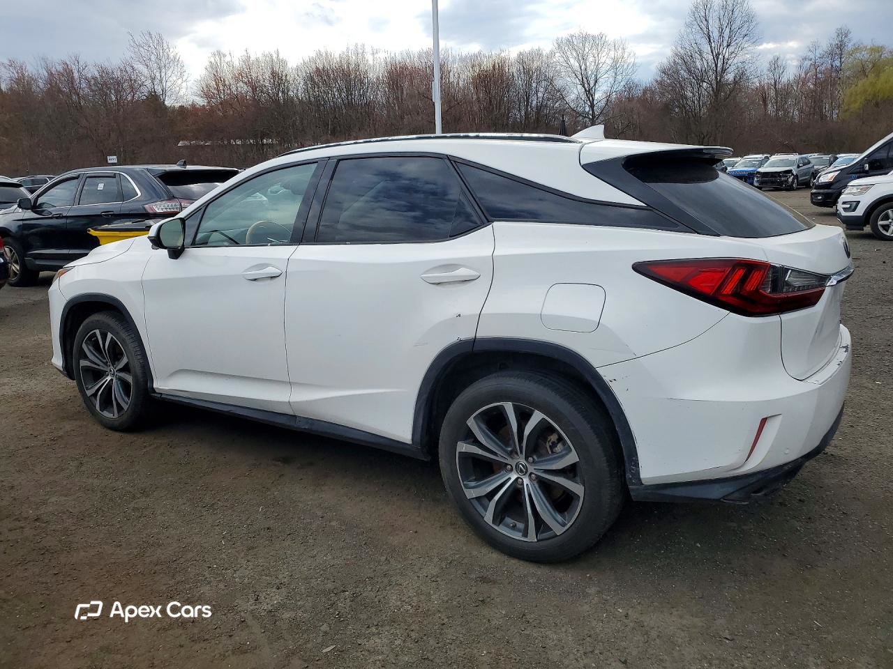 Lexus RX 2019