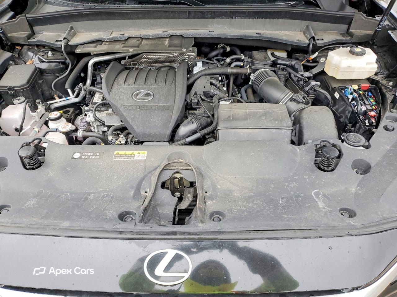 Lexus TX 2024
