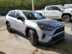 Toyota RAV 4 2025