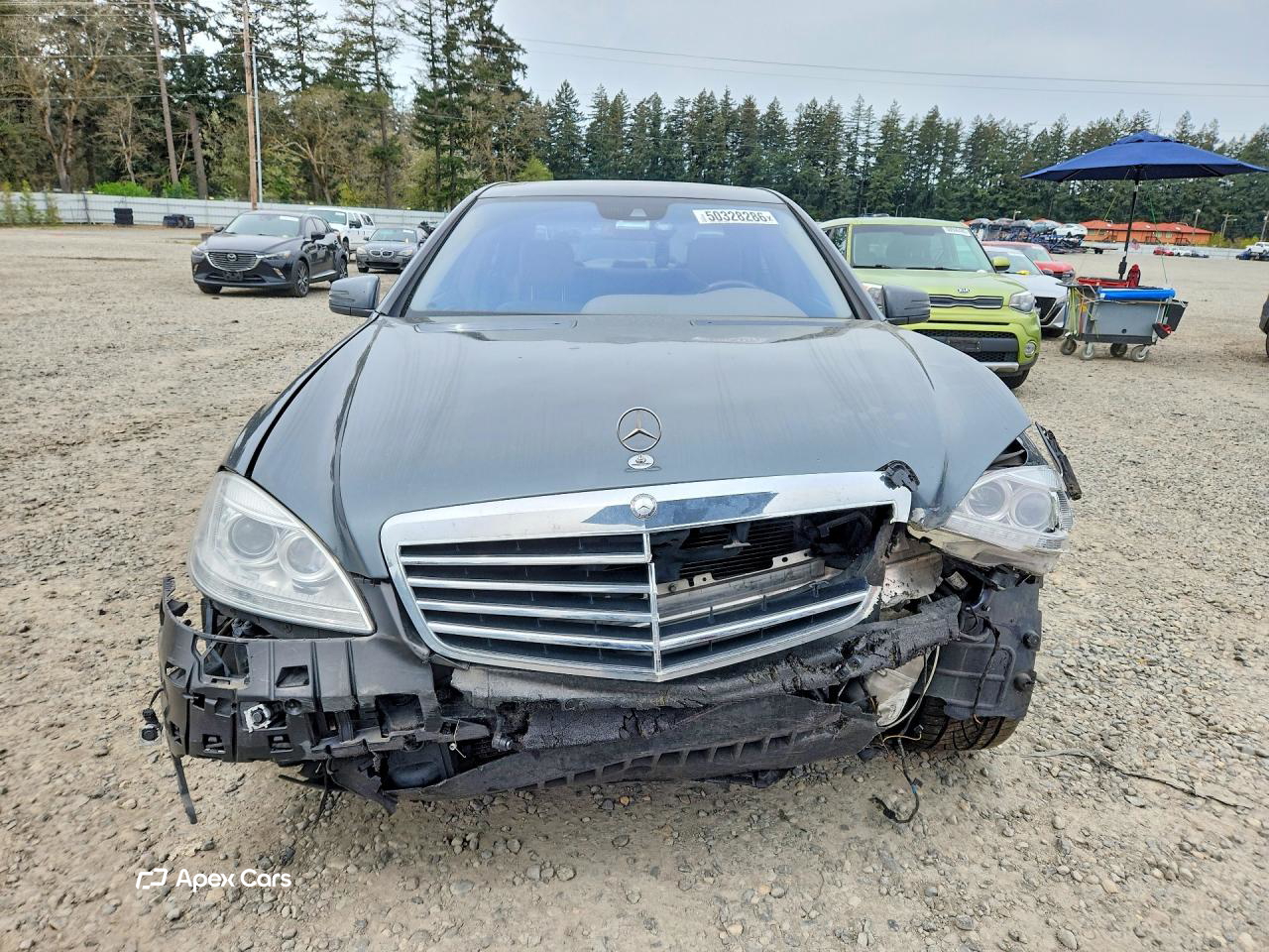 Mercedes-Benz S-klasse 2010