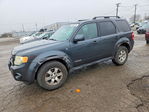 Ford Escape 2008