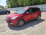 Ford Escape 2013