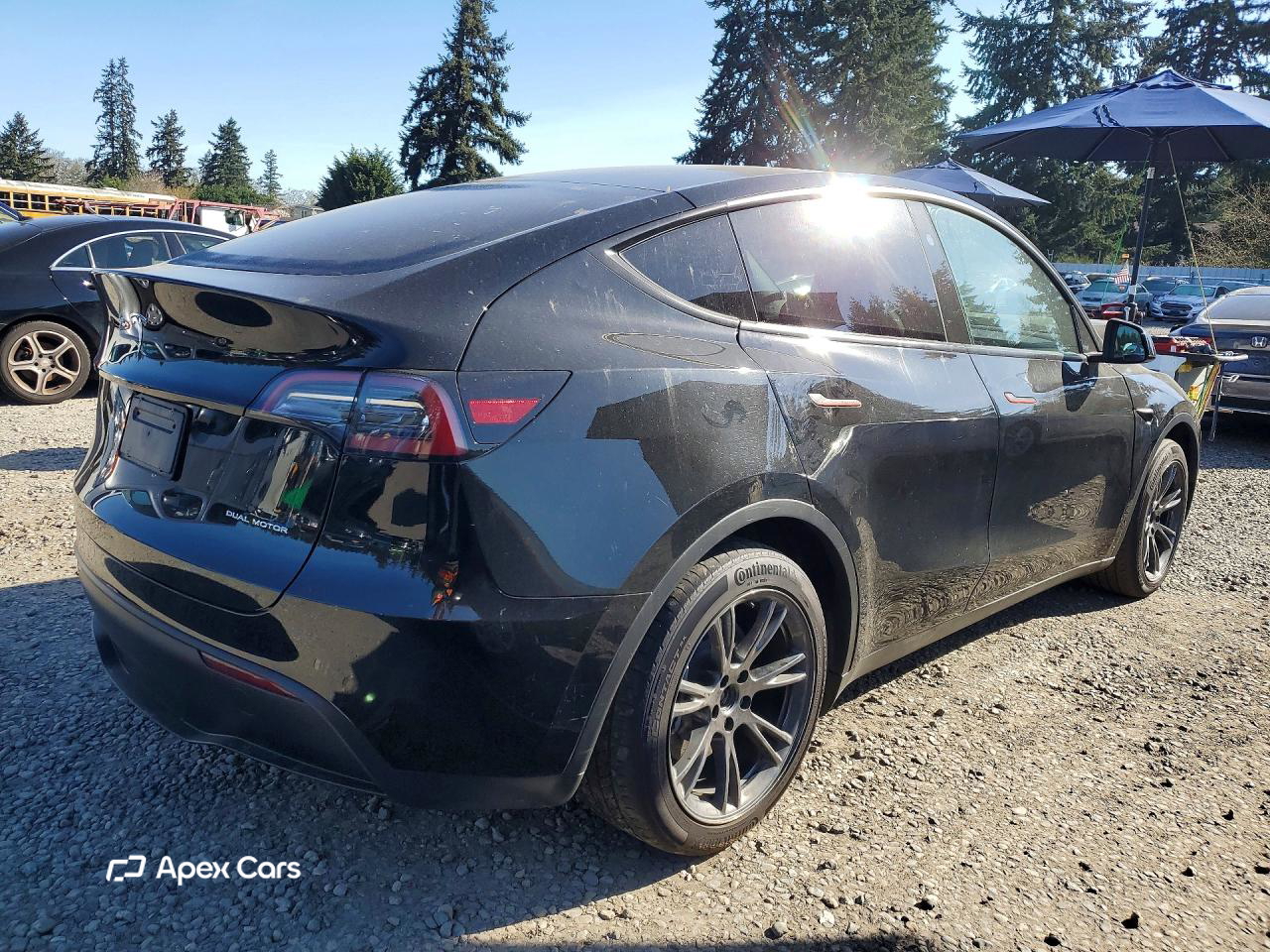 Tesla Model Y 2025