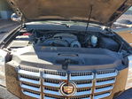 Cadillac Escalade 2013