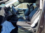 Ford Expedition 2024