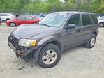 Ford Escape 2006
