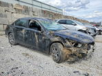 Honda Accord 2012