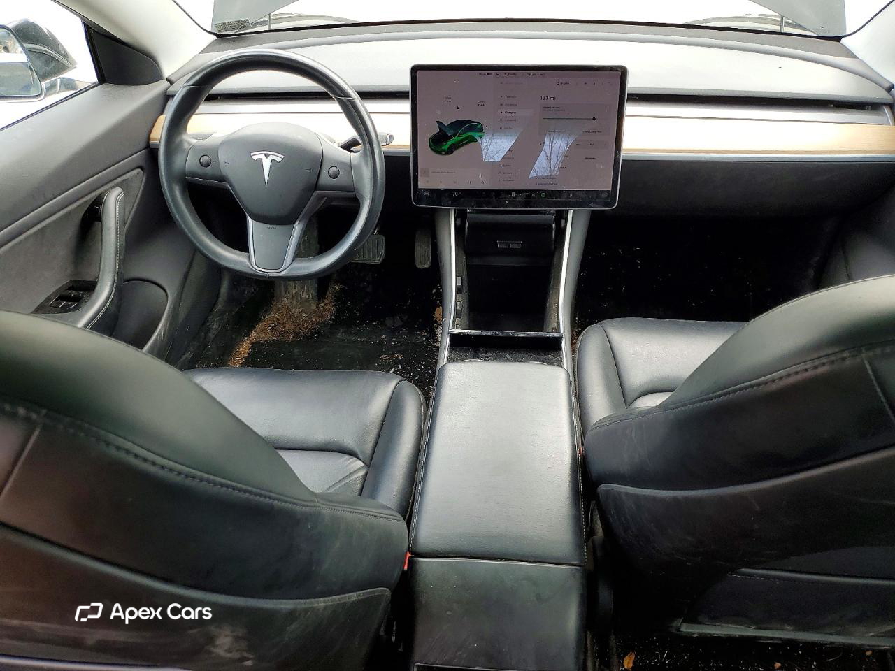 Tesla Model 3 2019