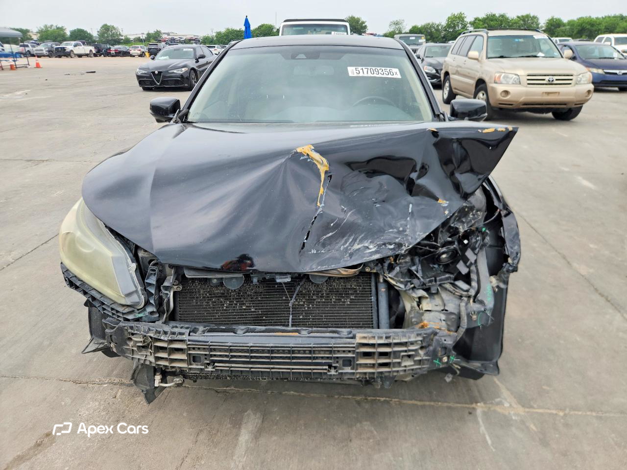 Honda Accord 2013