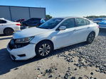 Honda Accord 2013
