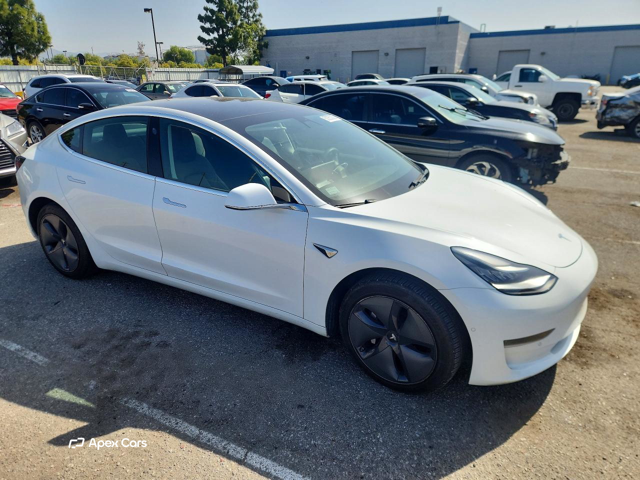 Tesla Model 3 2019