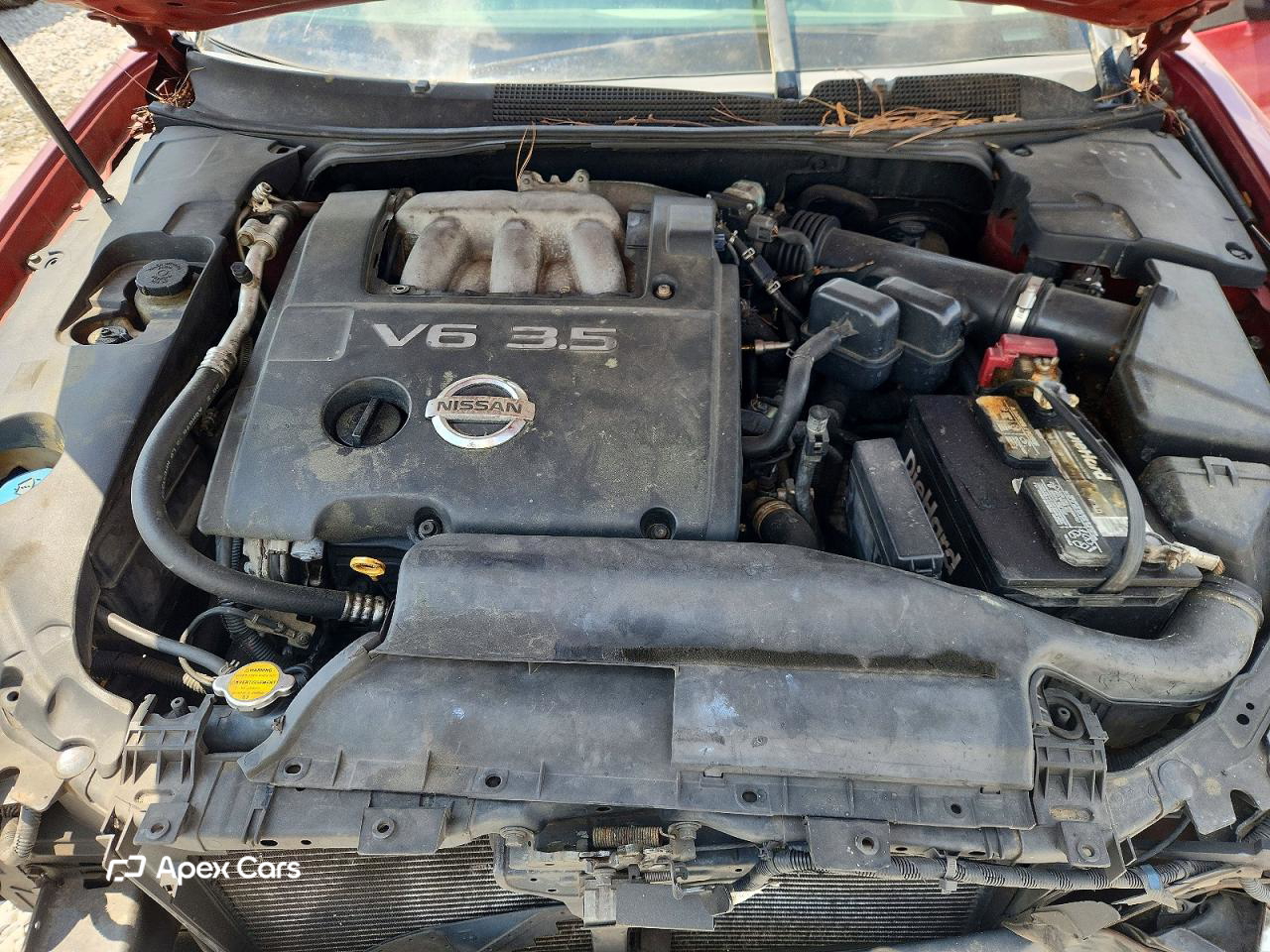 Nissan Maxima 2006