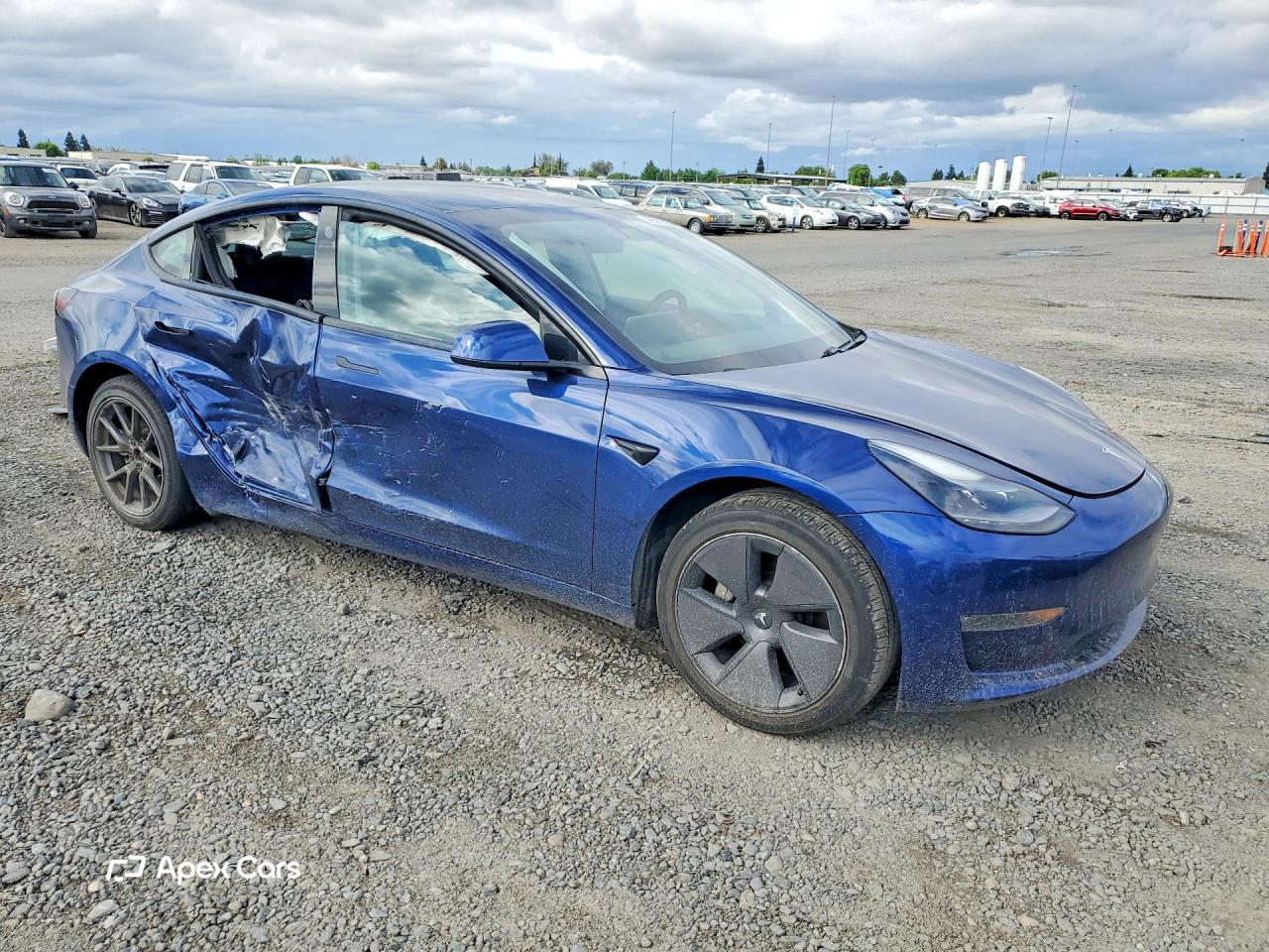 Tesla Model 3 2021