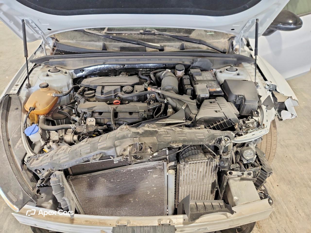 Kia K5 2024