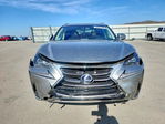 Lexus NX 2016