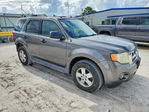 Ford Escape 2012