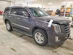 Cadillac Escalade 2015