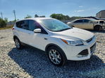 Ford Escape 2013