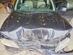 Dodge Journey 2010