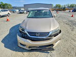 Honda Accord 2013