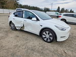 Tesla Model Y 2020