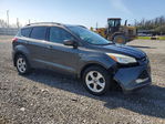 Ford Escape 2016