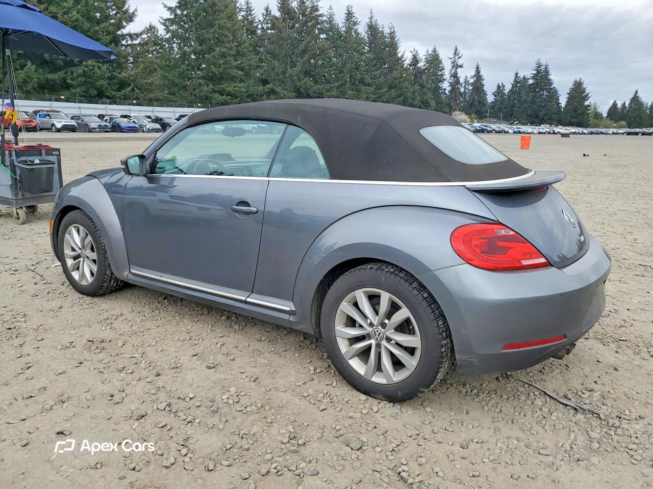 Volkswagen Beetle 2013