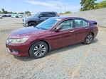 Honda Accord 2013