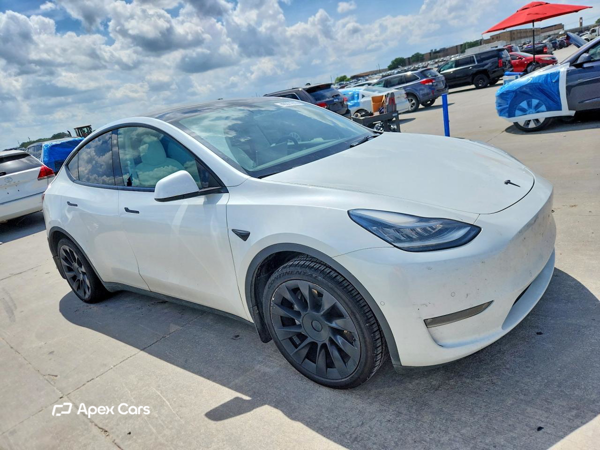 Tesla Model Y 2021
