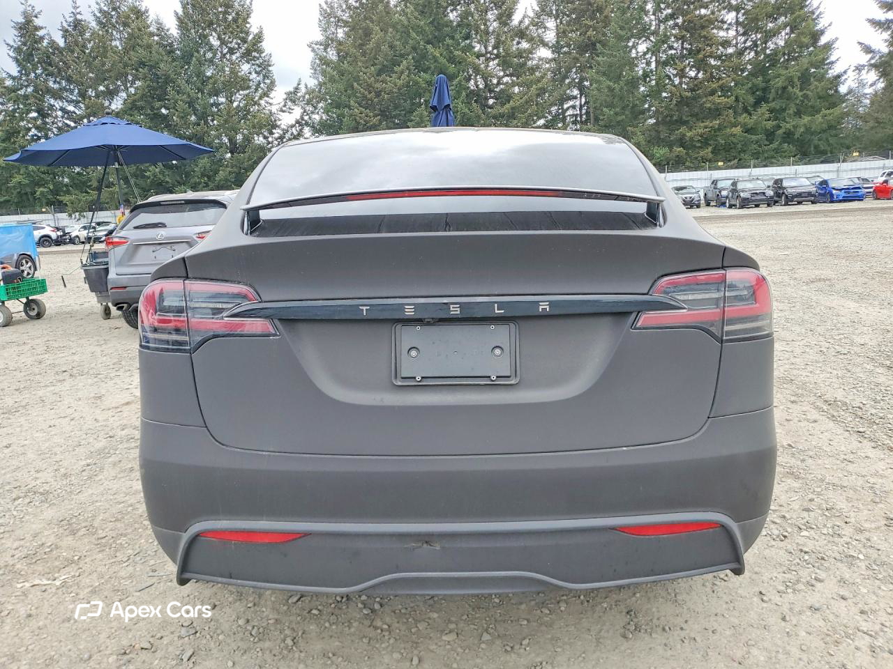 Tesla Model X 2025
