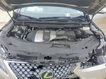 Lexus RX 2021