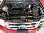 Ford Escape 2012